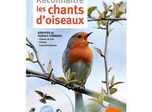 Reconnaître les chants d'oiseaux