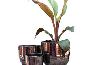 Vase Rebord coloris métal H 27 x Ø 30 cm Vase Rebord coloris métal H 27 x Ø 30 cm