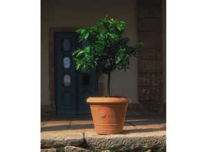 Pot Rosonne - Ø 60 x H 48 cm Pot Rosonne - Ø 60 x H 48 cm