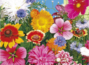 Fleurs pour bouquet en mélange