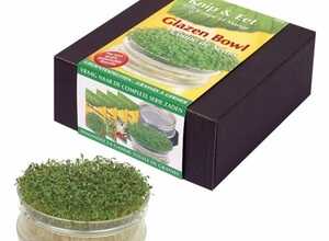 Cresson Kit de Plantation / Plat Verre