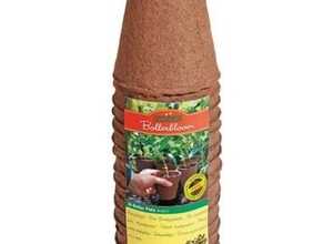 Godets biodégradable : ronds 8cm, 16 godets