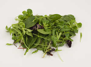 Green Leaf Mixed