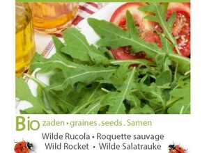 Bio Roquette Selvatica Diplotaxis Erucoides