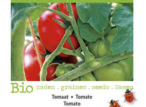 Bio Tomaat Matina
