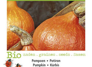 Bio Pompoen Uchiki Kuri