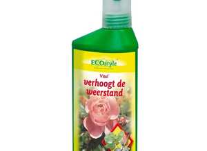 Engrais fortifiant pour plantes Vital - concentrÃ© 250 ml - Ecostyle