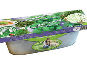 Kit Basilic & Ciboulette Graines Biologiques