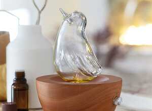 Diffuseur d'huiles essentielles Alapi