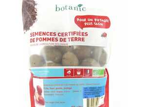 Pommes de terre Desiré bio calibre 0001, 25 plants Pommes de terre Desiré bio calibre 0001, 25 plants