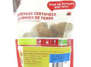 Pommes de terre Charlotte bio calibre 0001, 25 plants Pommes de terre Charlotte bio calibre 0001, 25 plants