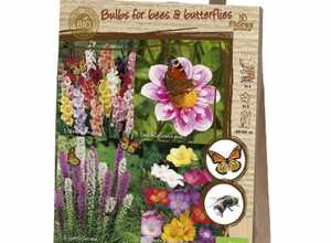 Heureux papillons et abeilles mÃ©lange (Biologiques)