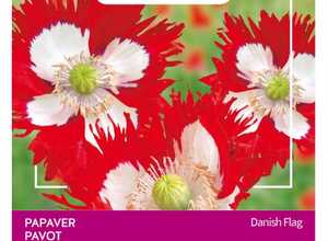 Poppies of the world â" Pavot Drapeau Danois
