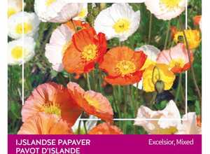 Poppies of the world â" Coquelicot Pavot d'Islande
