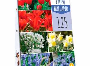 Sac Bleu de Delft Hollande MÃ©lange