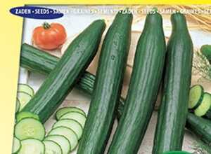 Concombre Louisa F1 - Cucumis Sativus Concombre Louisa F1 - Cucumis Sativus