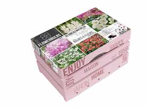 Caisse de bulbes d'Ã©tÃ© fleur rose