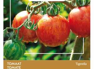 Tomate Tigerella