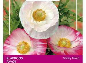 Poppies of the world - Coquelicot en MÃ©lange