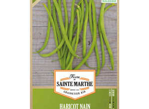 Haricot Argus Nain Mangetout Bio