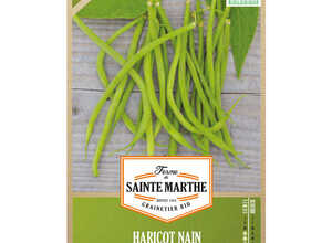 Haricot Aiguillon Bio