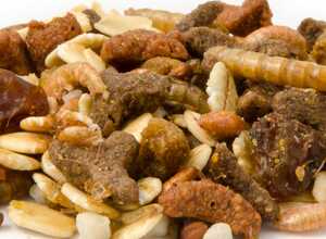Friandises pour hérissons