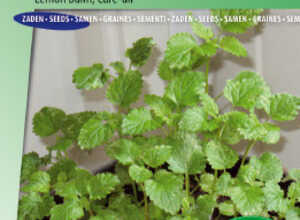 MÃ©lisse citronelle Citro Quick (ThÃ© de France)