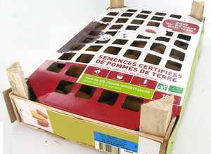Pommes de terre Amandine bio calibre 0001, 100 plants Pommes de terre Amandine bio calibre 0001, 100 plants