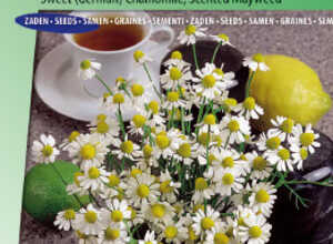 Camomille Allemande / sauvage Camomille Allemande / sauvage