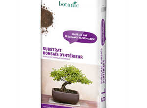 Substrat bonsaï d'intérieur 5 L Substrat bonsaï d'intérieur 5 L