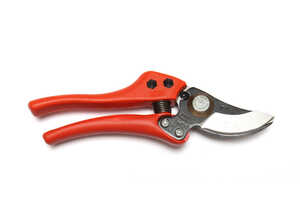 Sécateur Pro P1 orange et noir - 20 cm