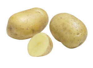 Pommes de terre Primlady calibre 28/35, 100 plants