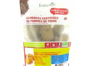 Pommes de terre Ditta bio calibre 0001, 10 plants Pommes de terre Ditta bio calibre 0001, 10 plants