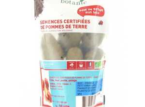 Pommes de terre Samba bio calibre 0001, 10 plants Pommes de terre Samba bio calibre 0001, 10 plants