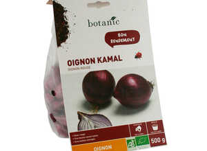 Bulbes d’oignon Kamal AB bio 500 g Bulbes d’oignon Kamal AB bio 500 g