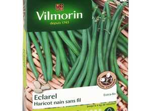 Haricot Eclarel