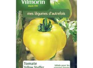 Tomate Yellow Stuffer