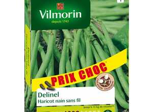 Haricot Delinel 140g