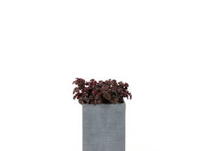 Pot STREAM mi haut Anthracite L.25x25 x H.38 cm