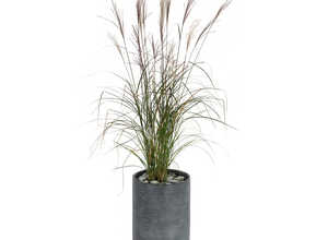 Pot rond STREAM haut Anthracite Ø.37 x H.60 cm Pot rond STREAM haut Anthracite Ø.37 x H.60 cm