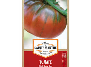 Tomate Black From Tula