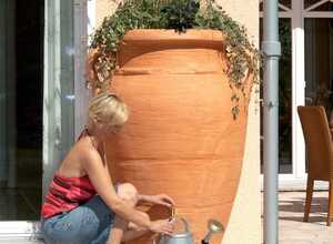 Récupérateur d'eau GARANTIA Amphore Antik 600 L Terracotta Récupérateur d'eau GARANTIA Amphore Antik 600 L Terracotta