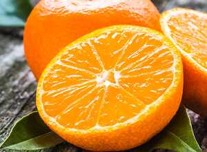 Mandarinier