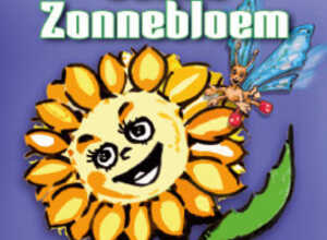 Soleil annuus giganteus