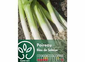 Poireau Bleu de Solaise