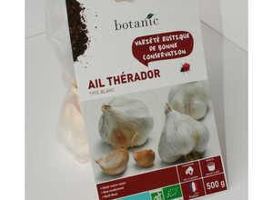 Bulbes d’ail blanc Therador AB bio 55+ Bulbes d’ail blanc Therador AB bio 55+