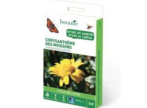 Chrysantheme des moissons Chrysantheme des moissons