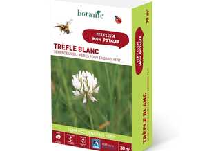 Trèfle blanc 30 M² Trèfle blanc 30 M²