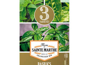 Basilic en Mélange