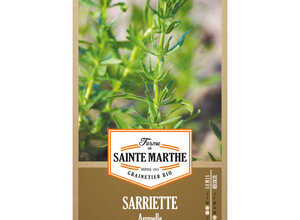 Sarriette Annuelle